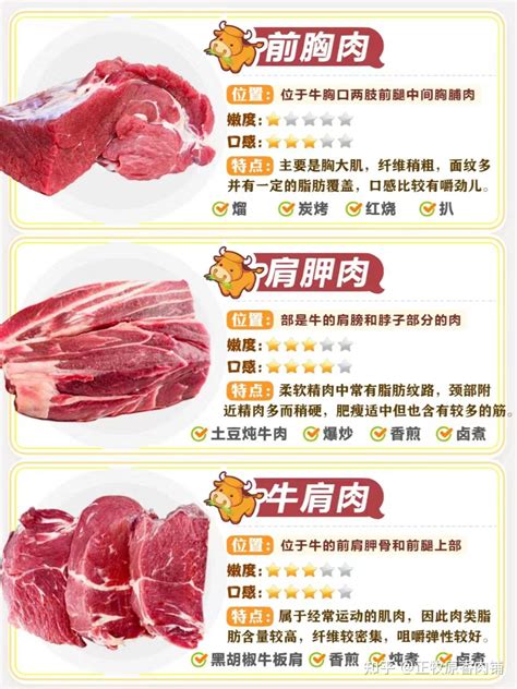 上腹部 肉